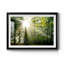 Light and Trees II - Photographie avec cadre-520607933-520607934