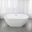 63'' x 29'' Freestanding Soaking Acrylic Bathtub