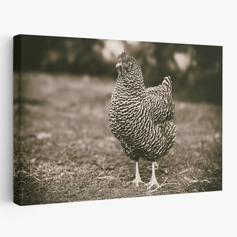 Farmhouse / Country Stand Tall, H 24 po x l 16 po
