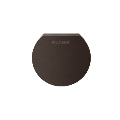 Designer 3 in. Steamhead with AromaTherapy Reservoir in Round 