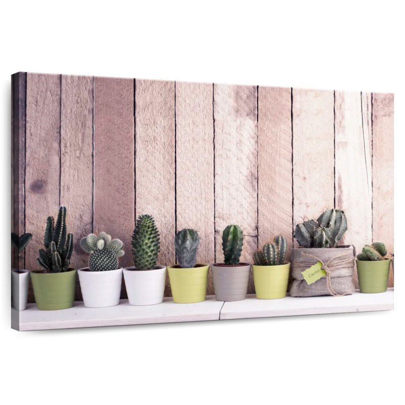 Harnek Succulent Plant Pots, 20" H x 30" W