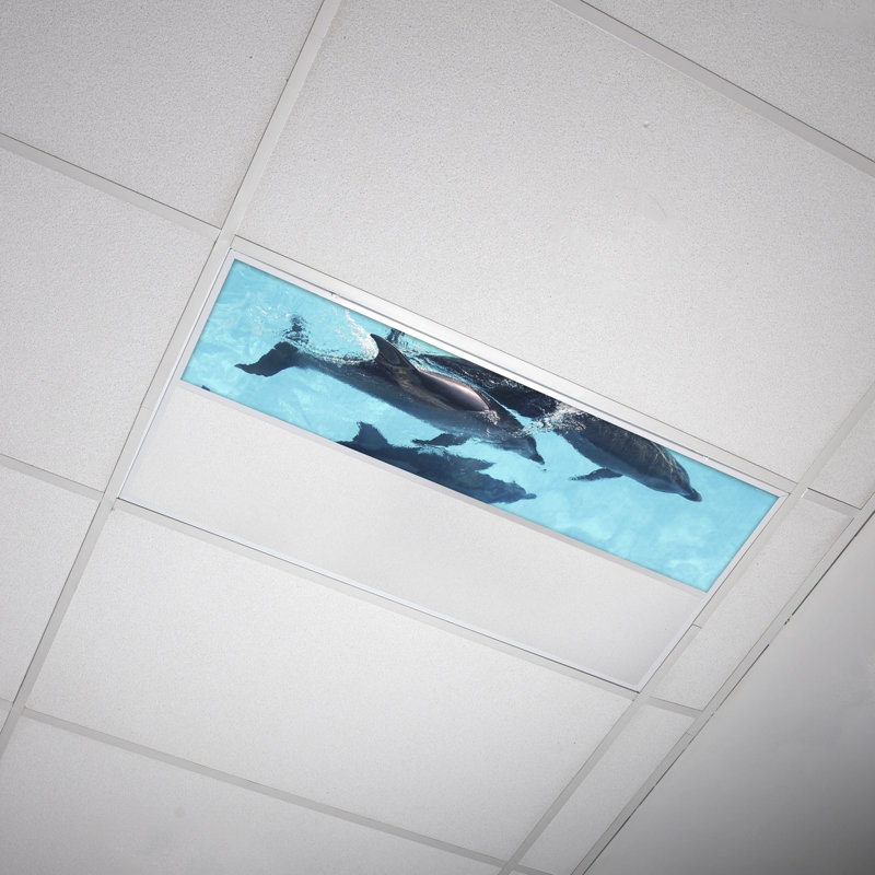 Ocean Rectangle Fixture Component Ceiling Light