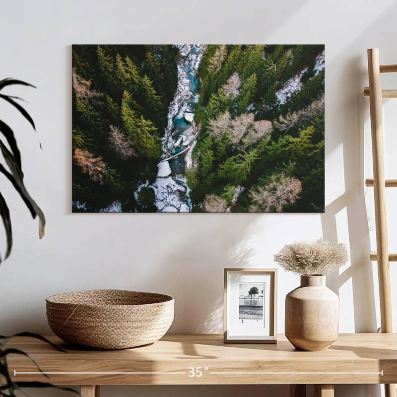 Paysage de la forêt d'Alvord, H 16 po x l 24 po