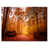 Toile tendue
