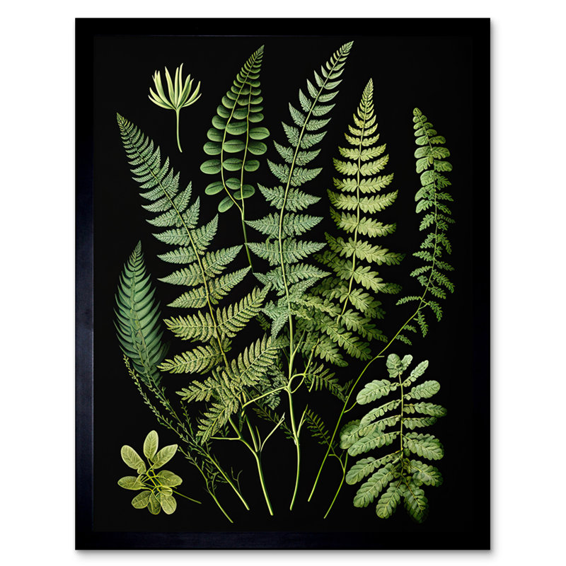 Fern Fronds - Single Picture Frame Print