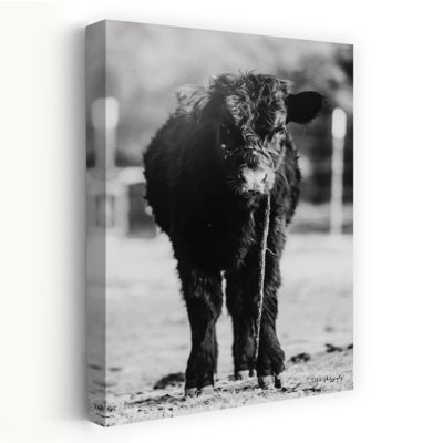 Single Cow Abstract Contemporary Cow Portrait Landscape Art