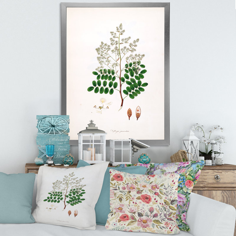 «Vintage Botanicals» - Peinture sur toile, Cadre photo argenté, H 20 po x l 12 po x P 1po
