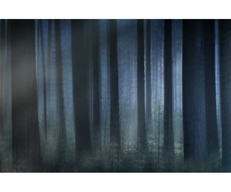 Wrapped Canvas Print, 50.8 cm H x 76.2 cm W