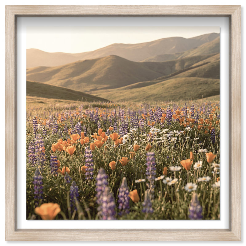 Lavender Hill Print by Oliver Gal, 13.5" H x 13.5" W, Natural Oak Shadowbox