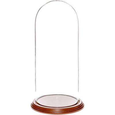 Vucciria Glass Display Dome Cloche