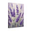 Plantes et fleurs Fleurs de lavande sur fond doux-427247772