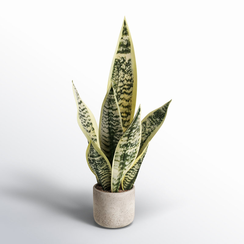 Plante artificielle en pot 21 po