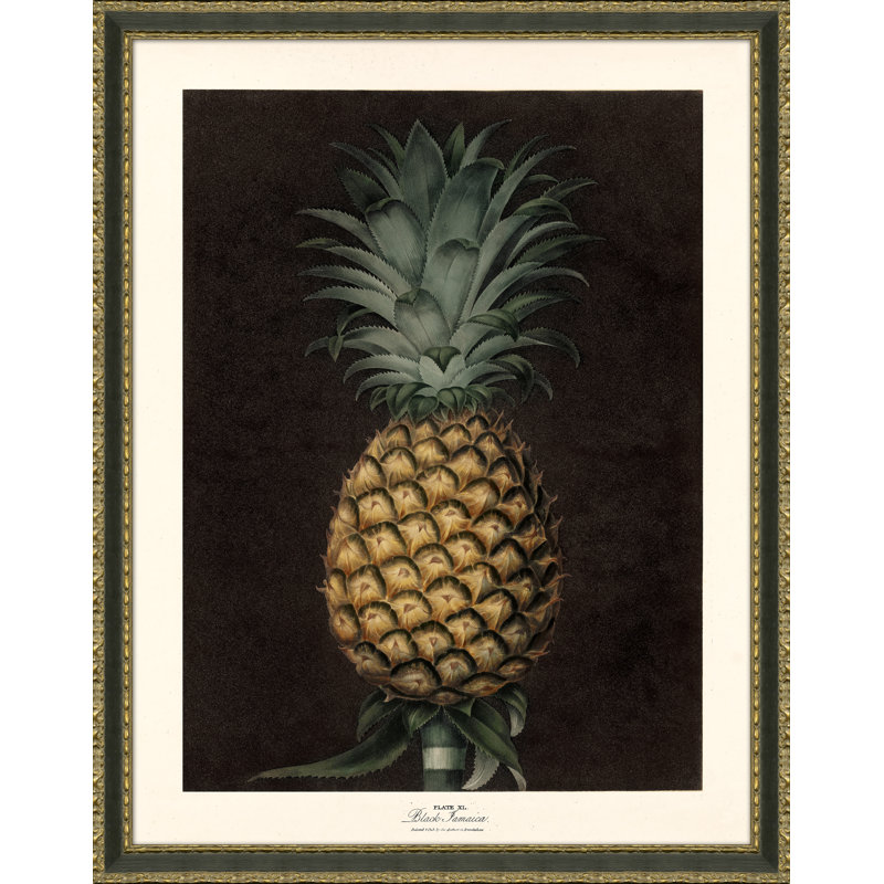Pineapples Giclee Print by Soicher Marin Archives