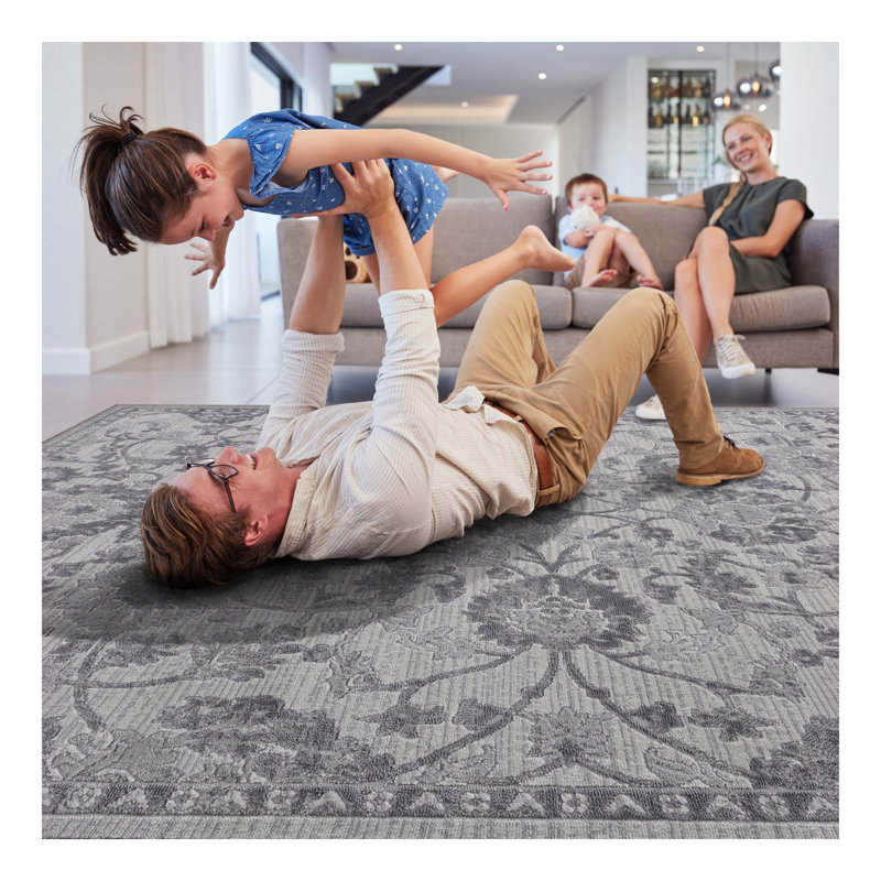 Collection 5X7 Grey/Silver/Oriental Non-Shedding Living Room Bedroom Dining Home Office Stylish and Stain Resistant Area Rug