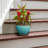 Handmade Ceramic Pot Planter