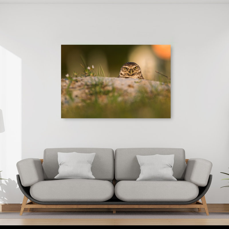 Intense Burrowing Owl Gaze Contemporary Bird Owl Forest Wall Art Print 1 Piece Wrapped Canvas Wall Art, 101.6cm H x 152.4cm W
