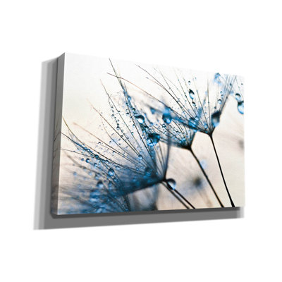 «Mystic Blue» par PhotoINC Studio