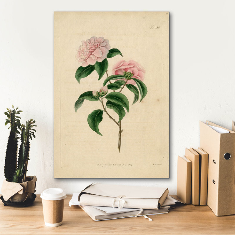 «Pink Rose» par Art Licensing Studio, art mural sur toile, H 26 po x l 18 po x P 0,75 po
