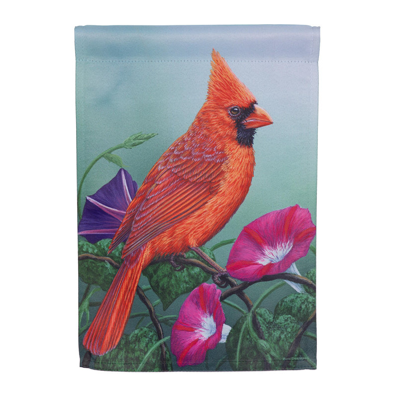 Drapeau de jardin Cardinal on Morning Glory