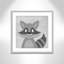 Impression sur papier Cheery Racoon-47841931-47841939