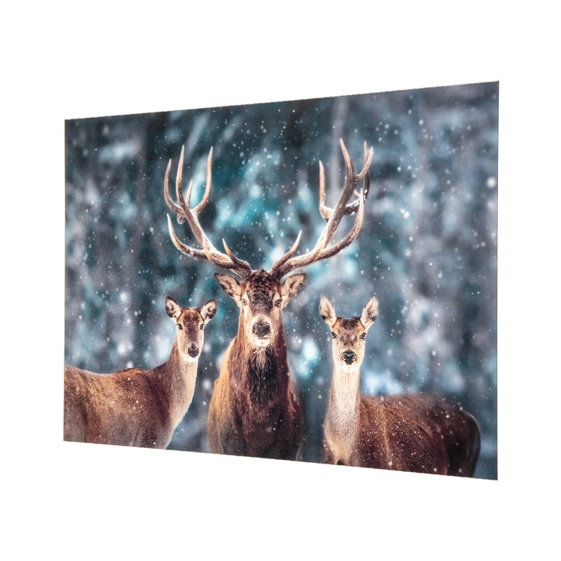 Rangale - Wall Art