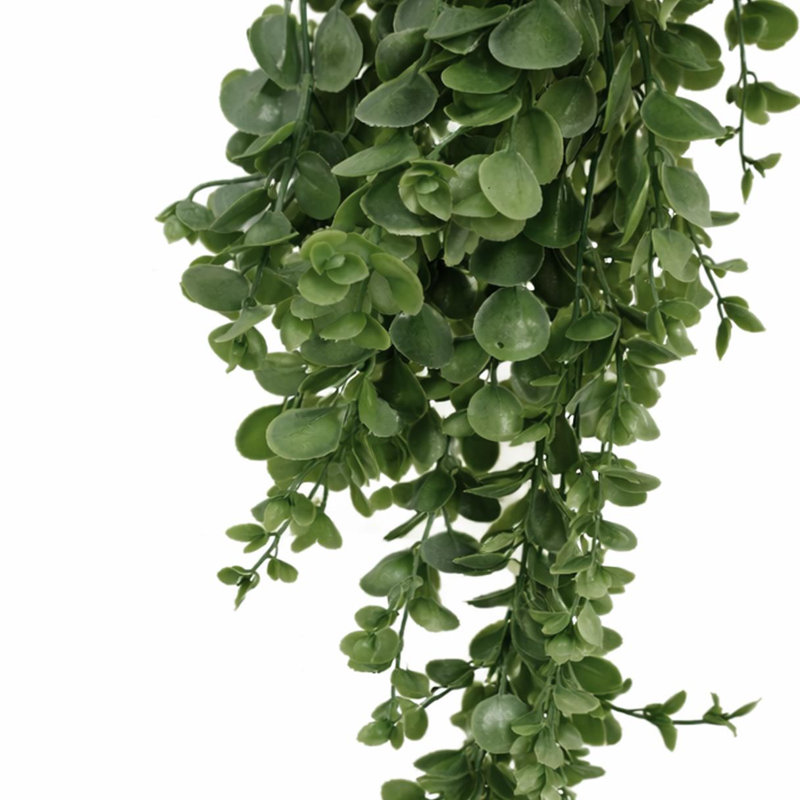 75 Plant, 1