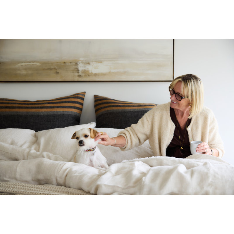 Bruno Linen Pillow Cover & Insert, 28"H x 36"W