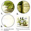Vert et blanc, articles de toilette minimalisme II - articles de toilette-509382510