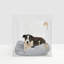 Medium Clear View Pet Crate with Silver Latch, Khaki Cushion-1880050980-1903138384-1903138387