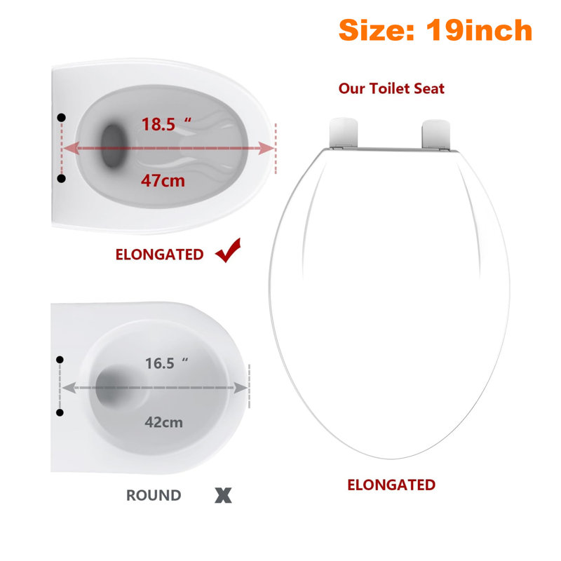 19 In Toilet Seat With Quick-release And Quick-attach