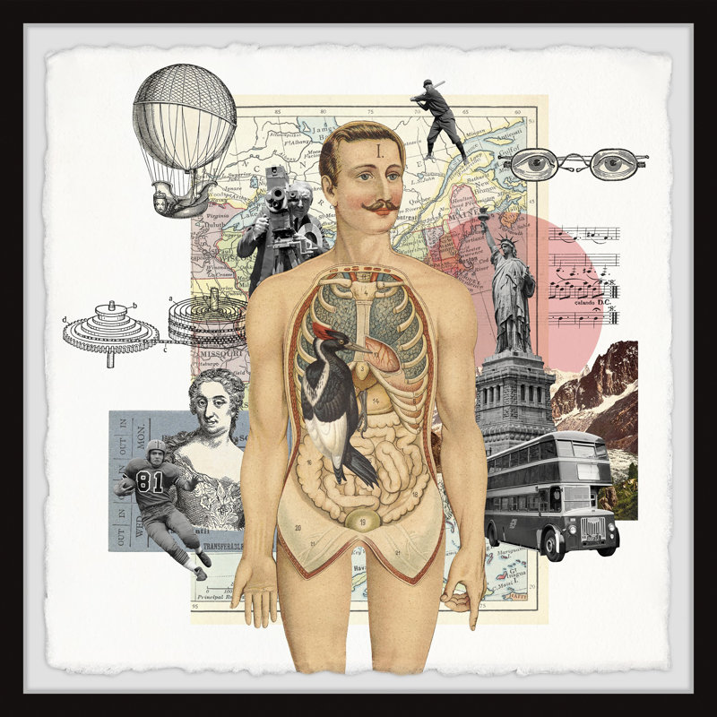 Anatomie du corps - impression encadrée, H 12 po x l 12 po x P 1,5 po