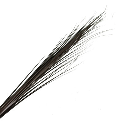 114cm Onion Grass Grass