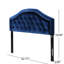 Tête de lit grand et grand lit - Revêtement en velours bleu marine avec capitonnage à boutons et détails cloutés délicats pour une chambre luxueuse et confortable-129902798-129902796-129902793