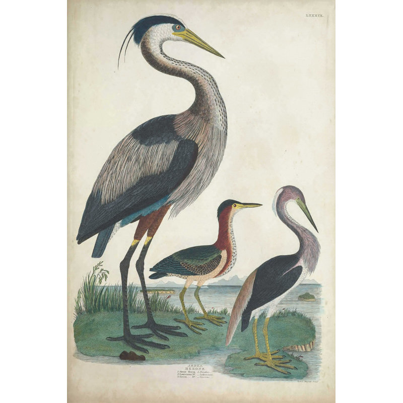 Héron antique et oiseaux d'eau IV, H 12 po x l 8 po