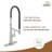 Spring Neck Standard Kitchen Faucet with Dual-Function spray head and Deck Plate-76655470