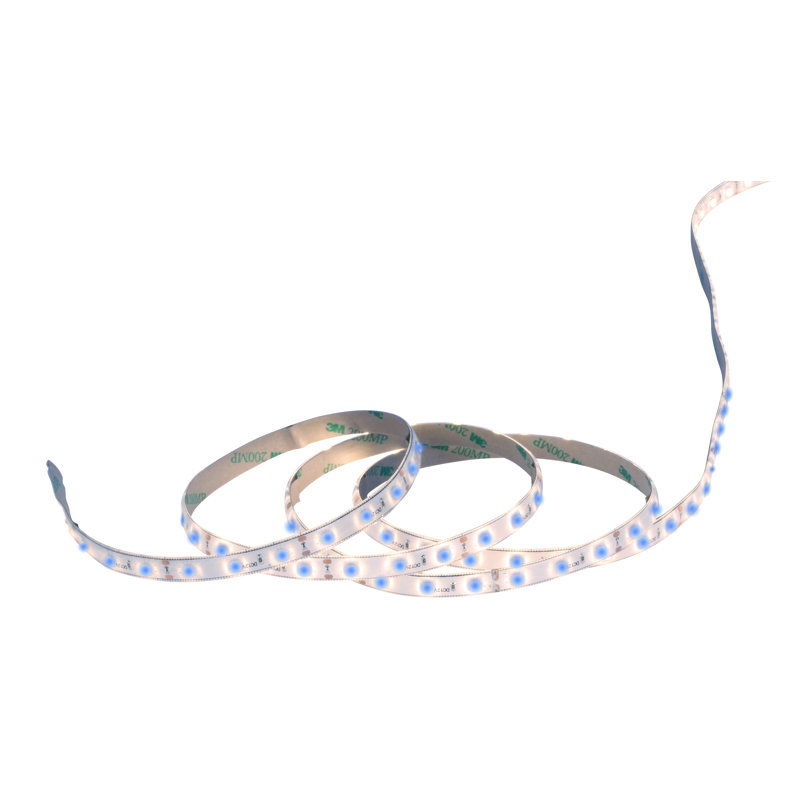 Detwiler 500 cm LED Strip Light, Blue