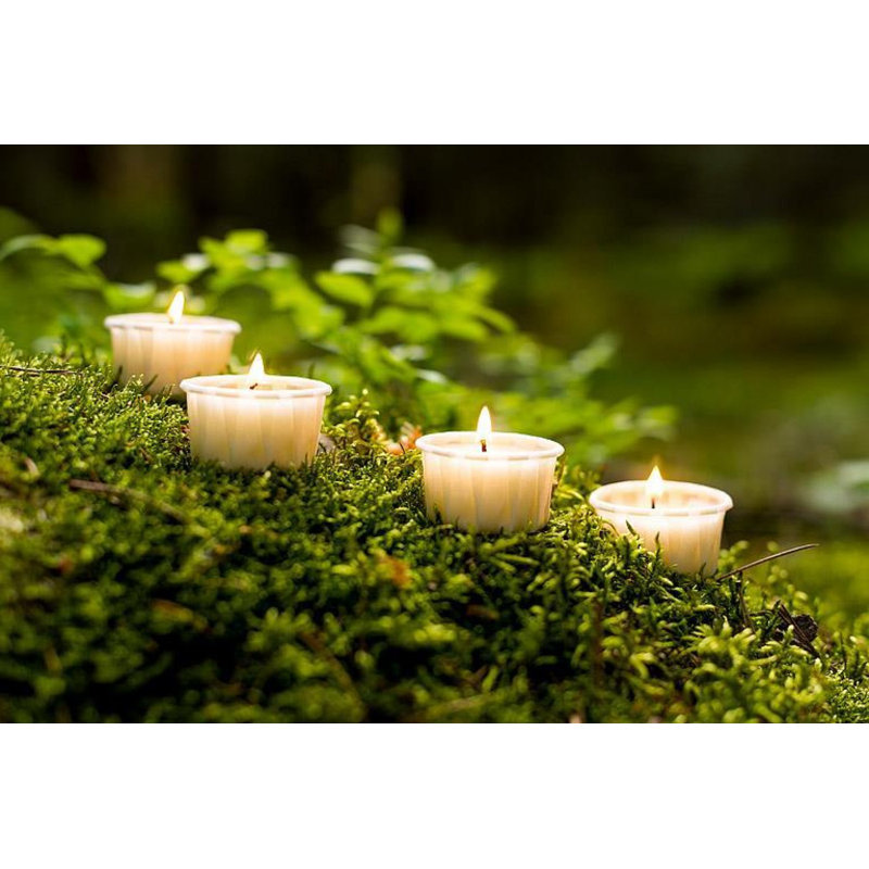 Set Of 12 Natural Wax Sustainable Tealight Candle