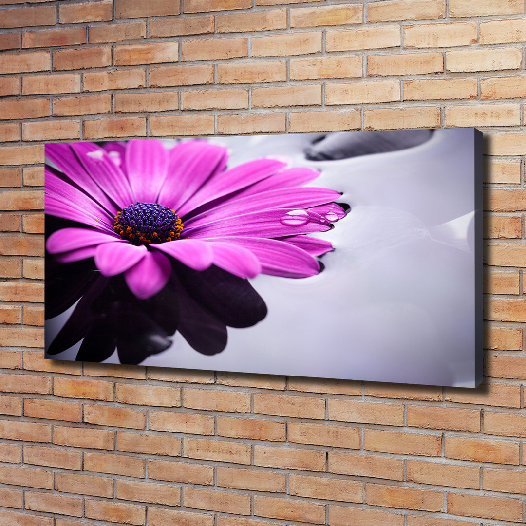 Gerbera - Ungerahmte Kunstdrucke auf Leinwand