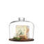City Glass Cake Stand