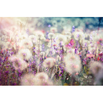 Beautiful Spring Landscape - Wrapped Canvas Print