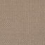 Sand Avalon Polyester Blend