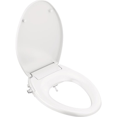 Siège de bidet manuel allongé