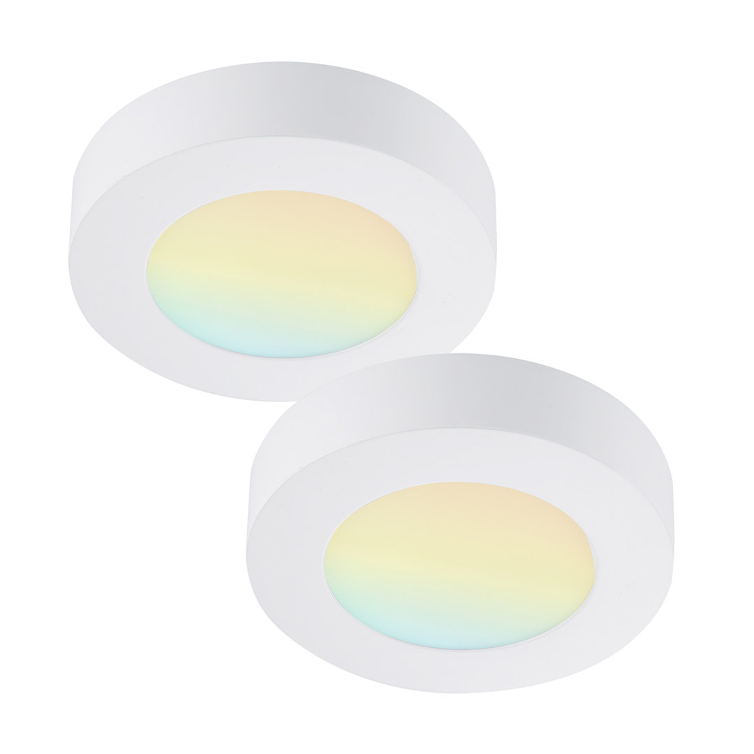 5.5 in. Round Color Selectable Integrated LED Flush Mount Downlight (Set of 2) RUN BISON Fixture 