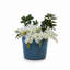 High quality ceramic flowerpot