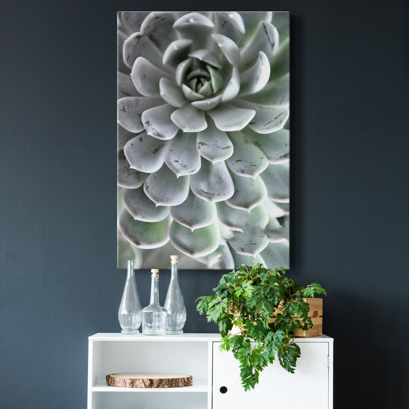 Zen Succulent IV - reproduction de photo sur toile tendue, H 27 po x l 18 po x P 1 po