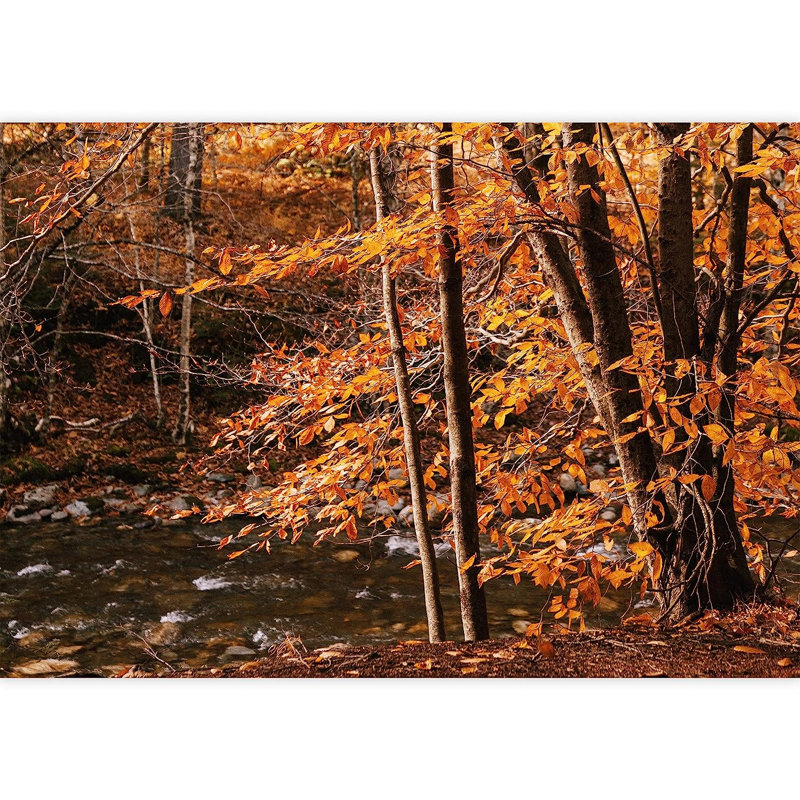Murale vibrante arbres d'automne orange, 66" L x 96" W