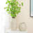 11'' H Modern Ceramic Vase, Minimalist Irregular Beige Decorative Vase