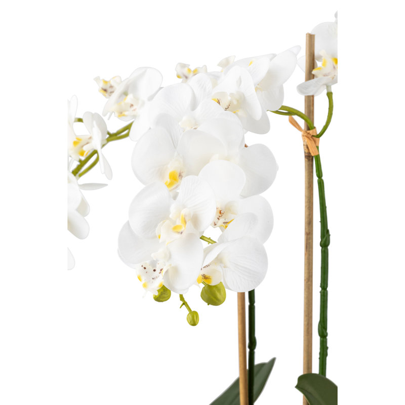 Functional Beauty Realtouch Orchid Planter