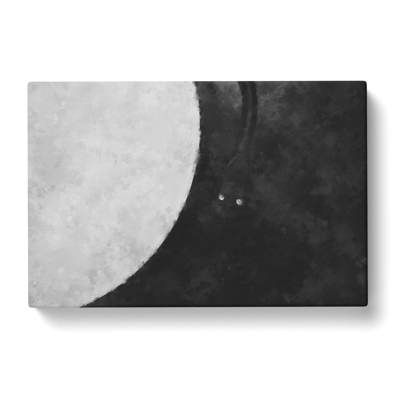 Needle On Vinyl In Black And White - Wrapped Canvas, 35cm H x 50cm W x 3cm D