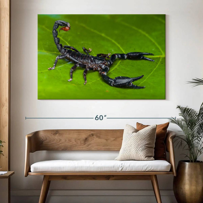 Scorpion de forêt, H 34 po x l 51 po
